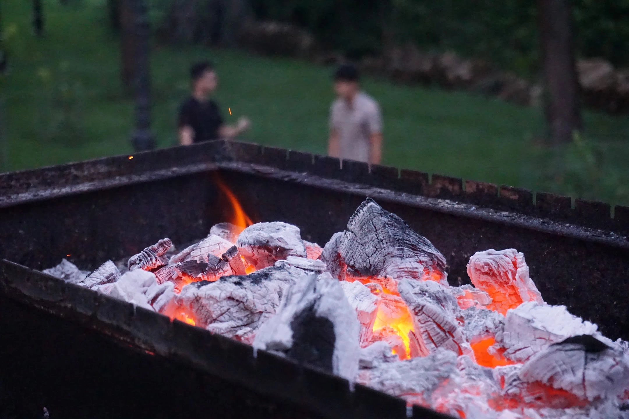 Plug and Play China BBQ